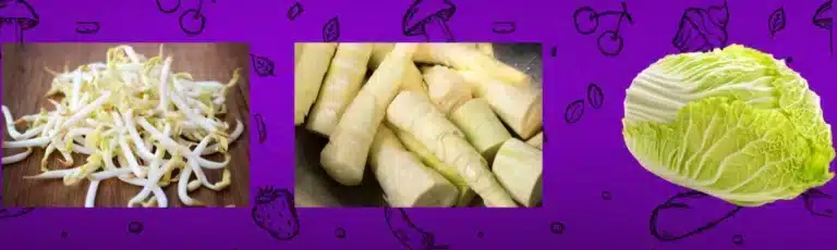 Bamboo Shoots Cabbage and Bean Sprouts ingreadiens for Mu Shu Vegetables