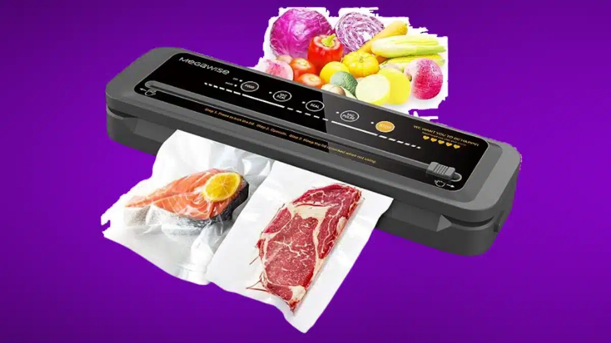 8 Best Vacuum Sealer Machines for Fresh Food Preservation in 2024