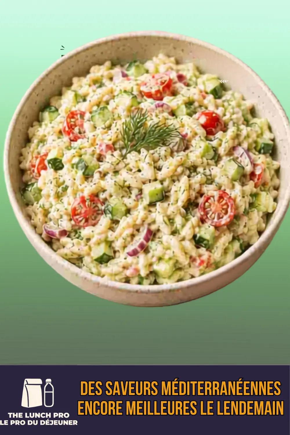 Salade De Pâtes : 3 Recettes Froides Aux Herbes Pour Le Déjeuner 3 Orzo au yaourt grec et à l'aneth