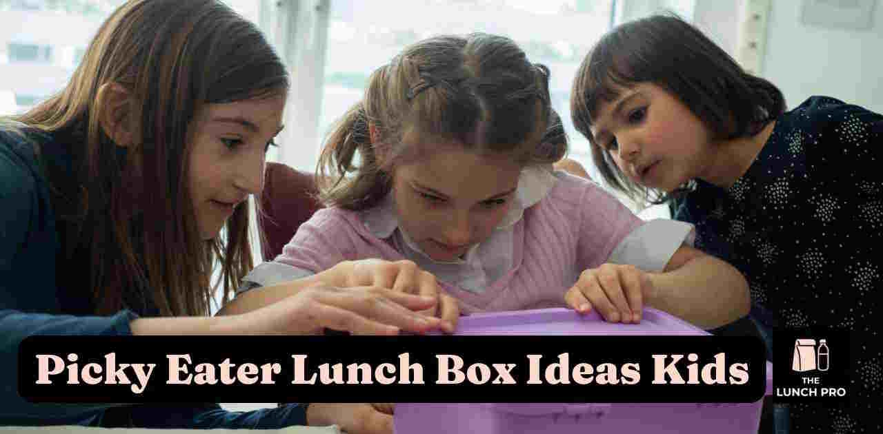 Picky Eater Lunch Box Ideas Kids:Kids exploring lunch box ideas together
