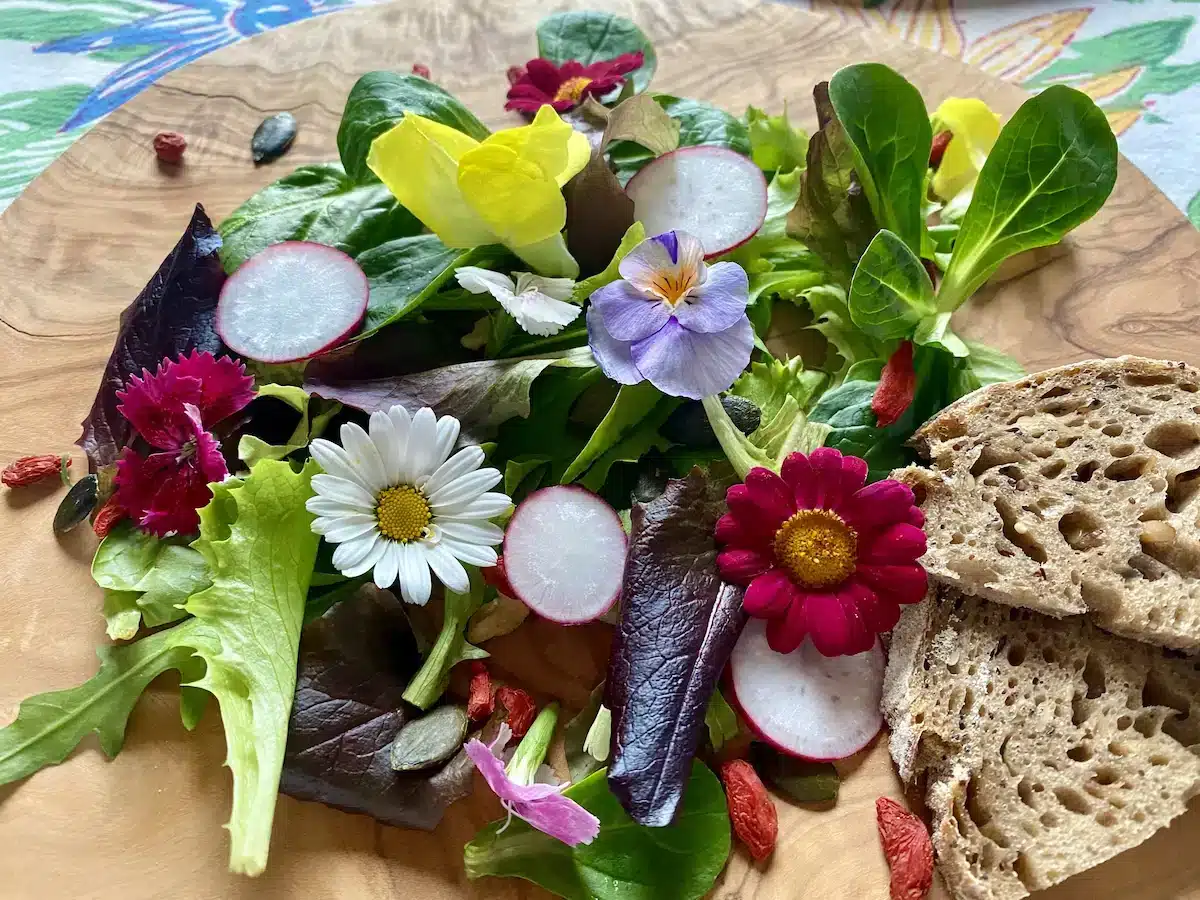 Spring salad with edible flowers