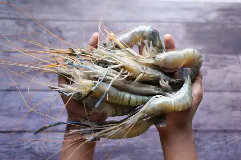 Raw prawns can be turned inton a healthy chinese seafood lunch