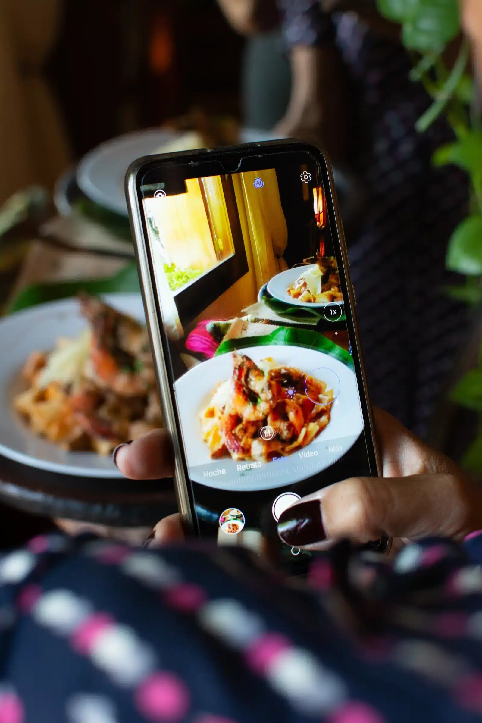 How do you fill The Lunch Pro website? Photographing a plate of food with the phone before eating. pasta with seafood