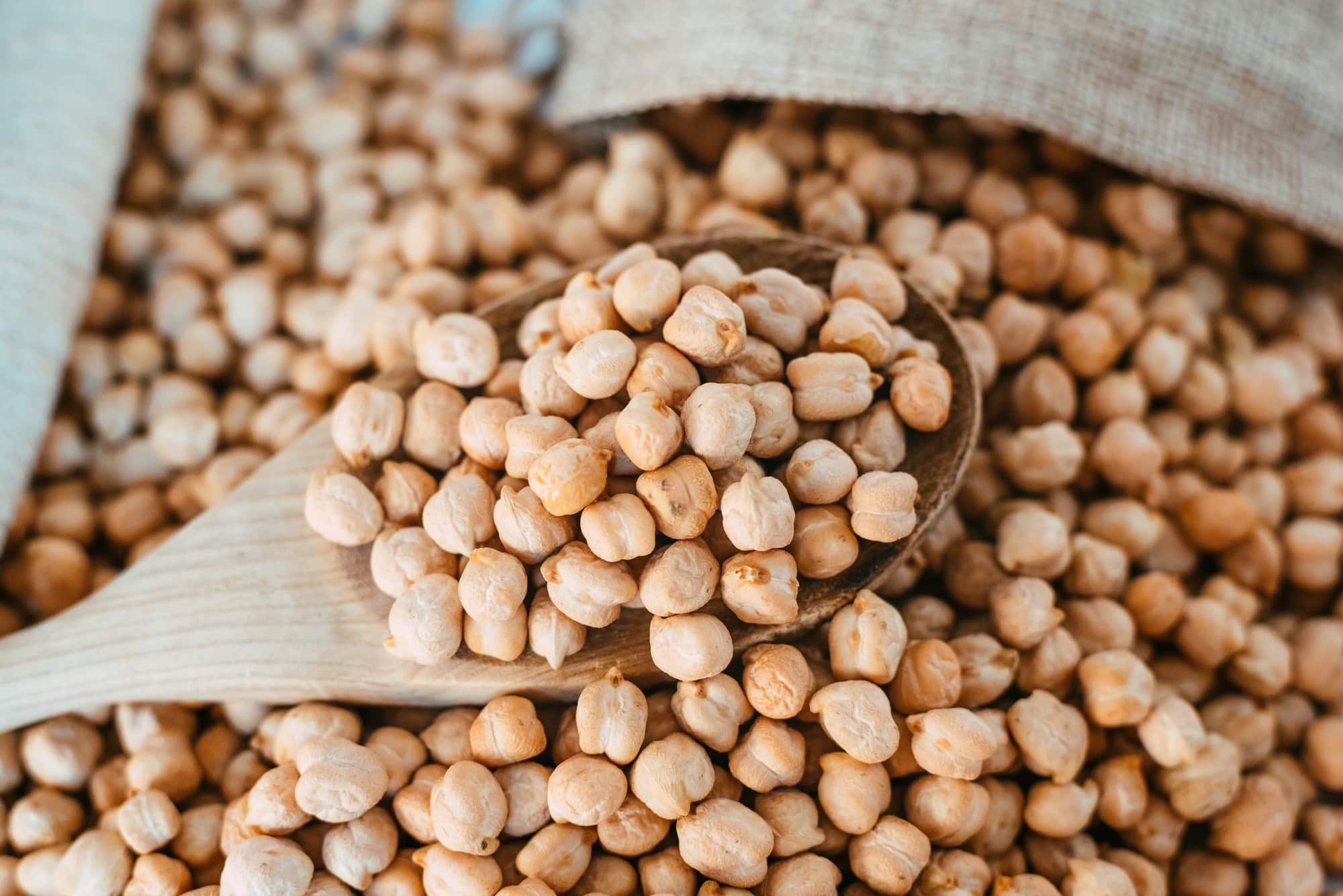 Dried chickpeas, Cicer arietinum, an important and nutritious ingredient in the Mediterranean diet.