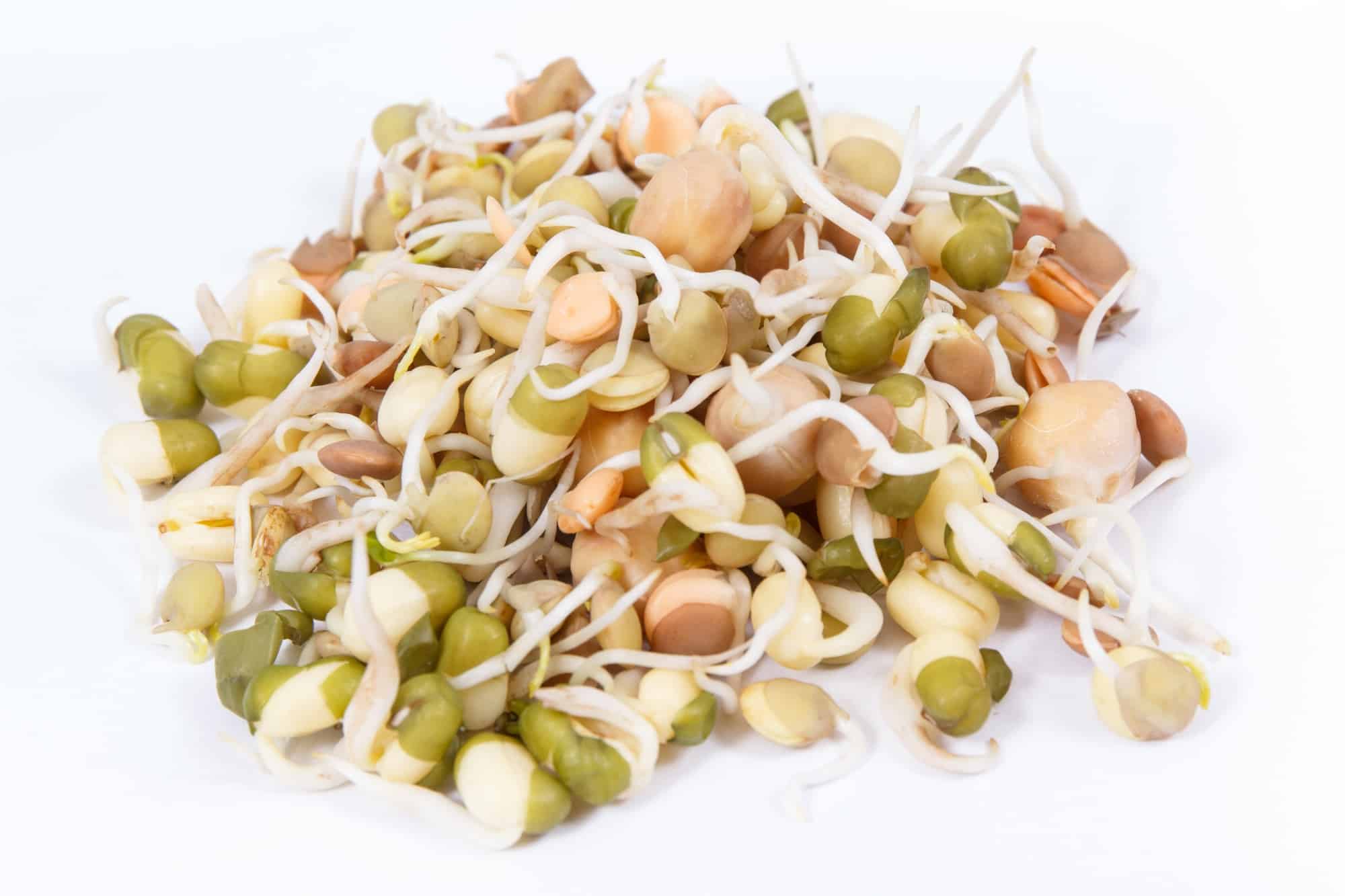 Fresh healthy lentils and chickpeas sprouts on white background