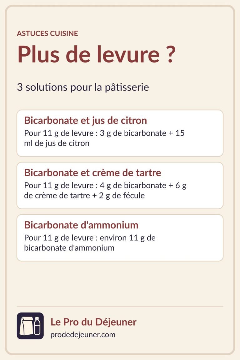 fr par quoi remplacer la levure chimique