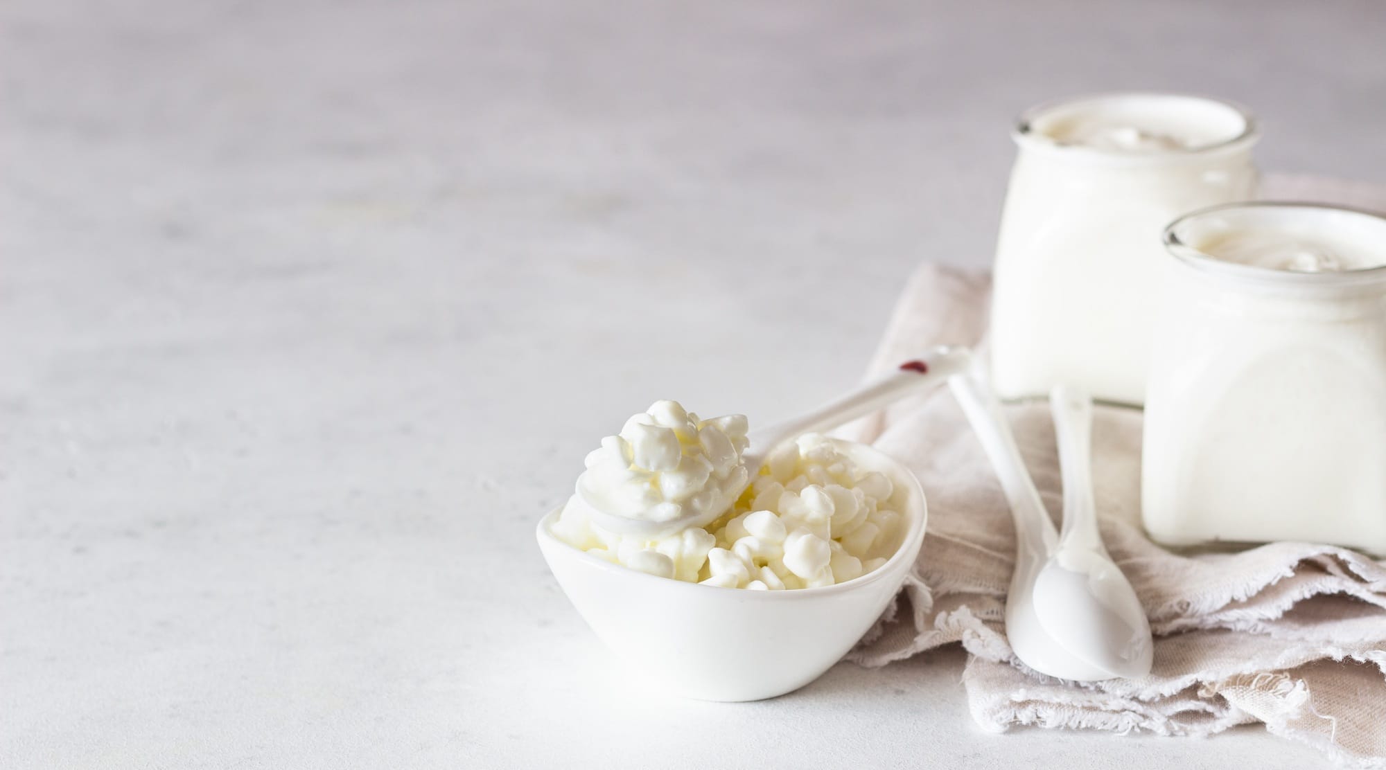Milk mushroom and natural homemade organic yogurt. Organic probiotic fermented milk products.