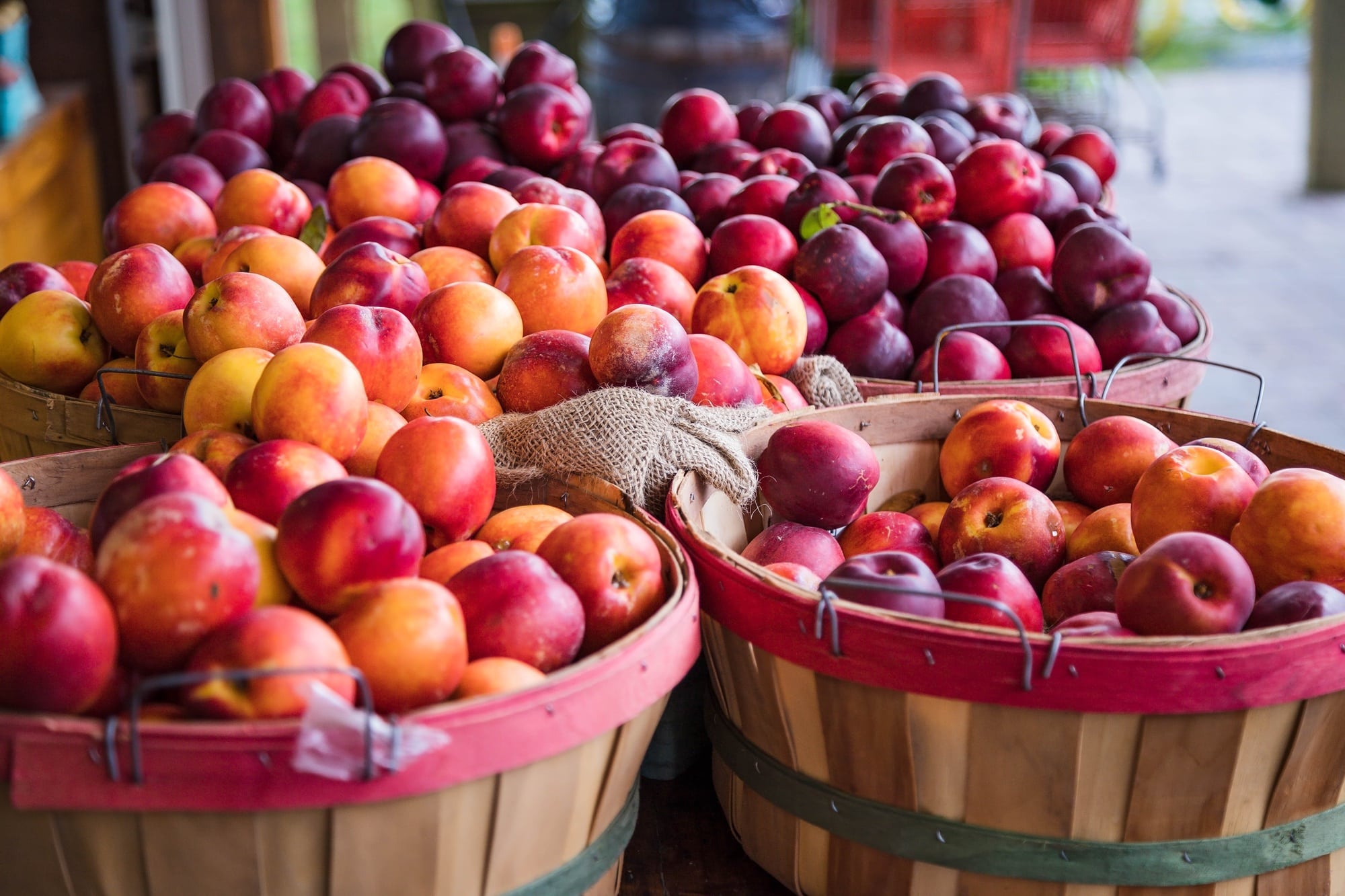 Nectarine and plum fruit in baskets at a farm stand