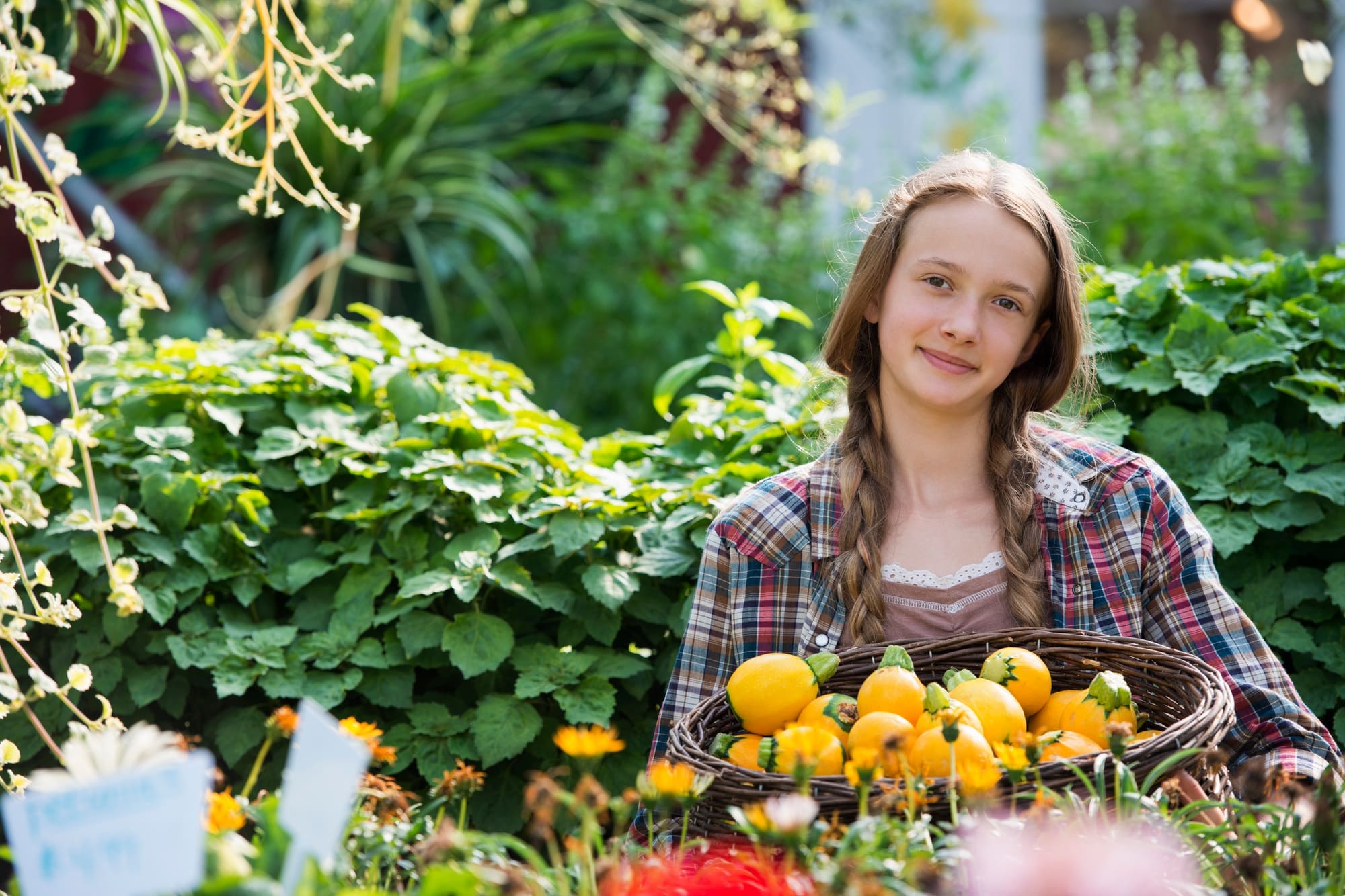Summer on an organic farm. A girl holding a basket of fresh squash vegetables.