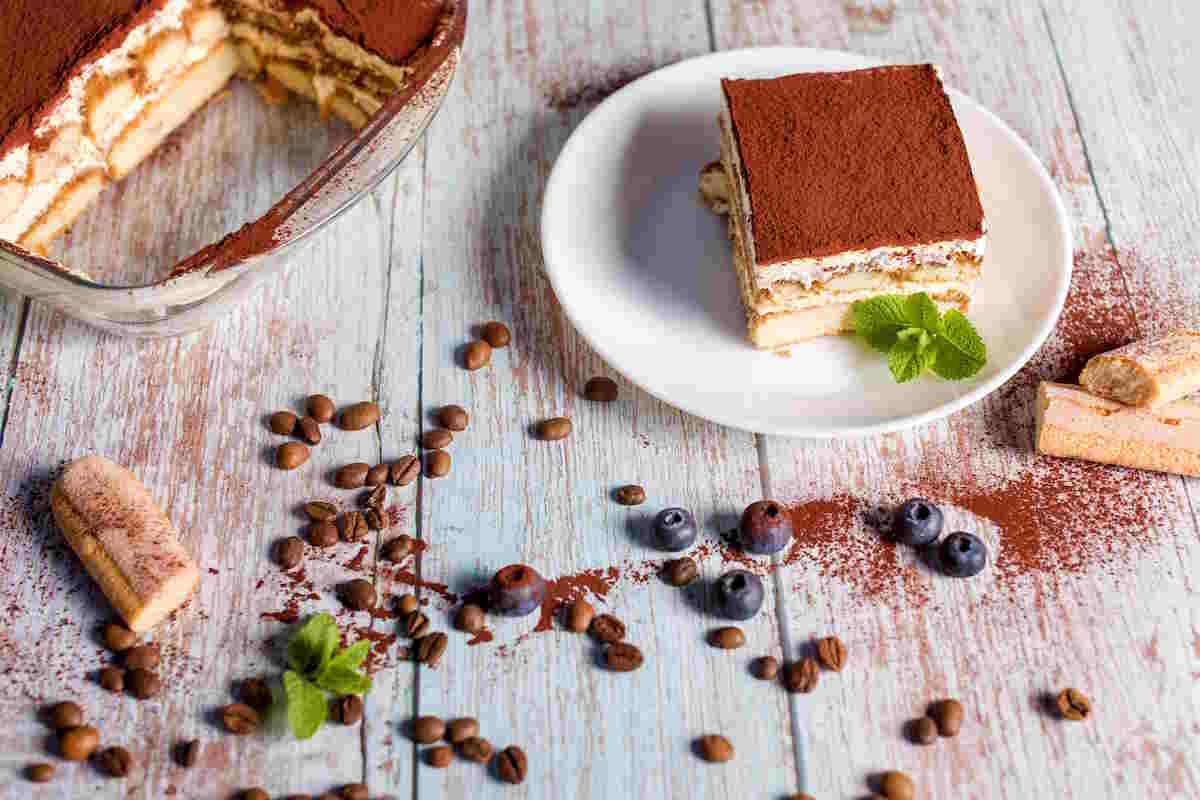 Tiramisu dessert. Delicious Italian dessert on a white plate with a sprig of mint.