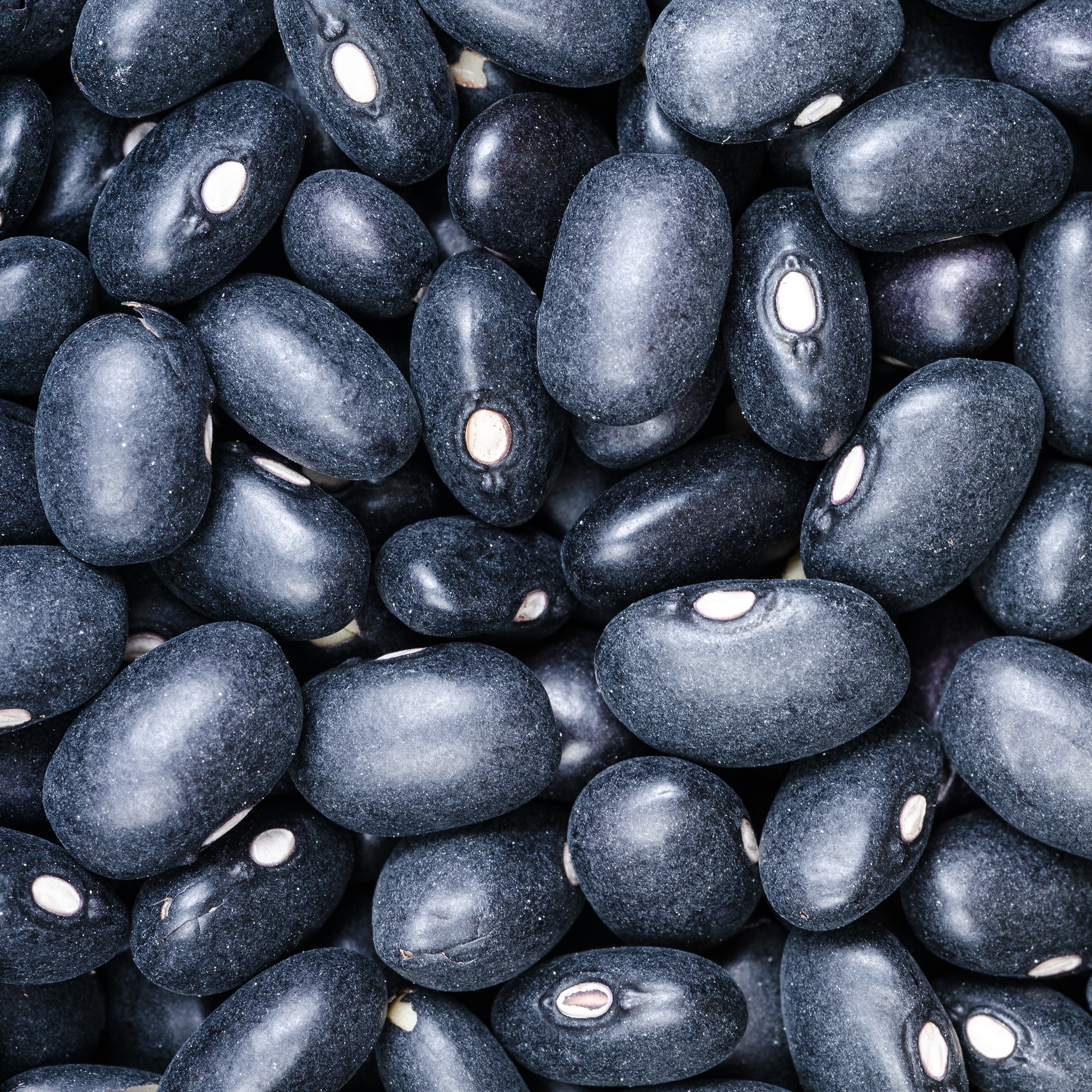 uncooked black mexico beans close up